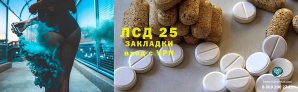 хмурый Верея