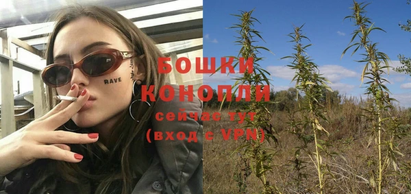 хмурый Верея