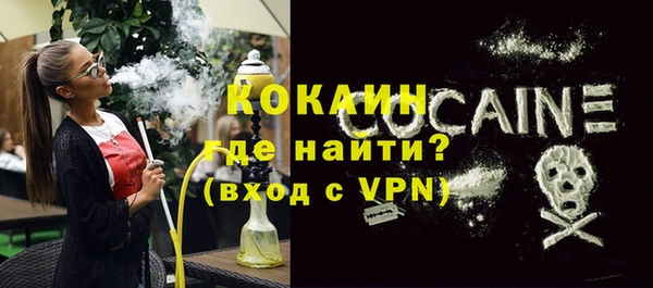 хмурый Верея