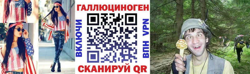 Псилоцибиновые грибы Psilocybe  Купить где  Светогорск 