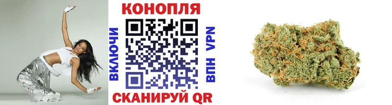 Каннабис Ganja  Купить закладки  Светогорск 